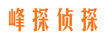 临县市婚外情调查